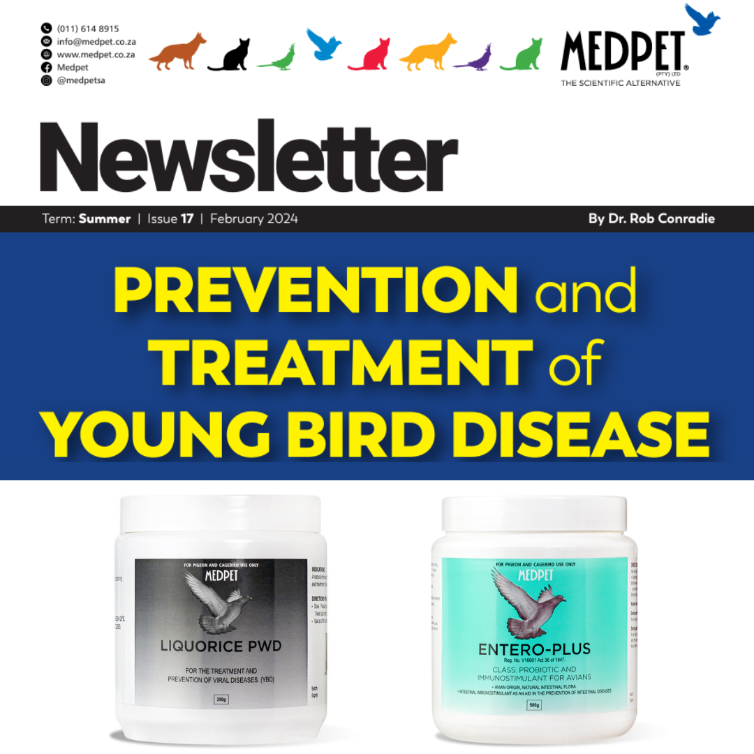 How to Prevent and Treat Young Bird Disease Sponsored by Medpet