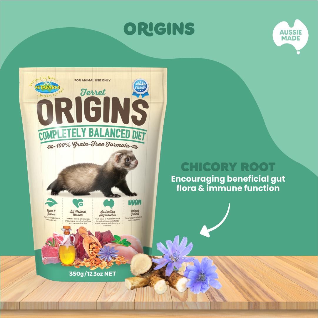 Premium Ferret Food