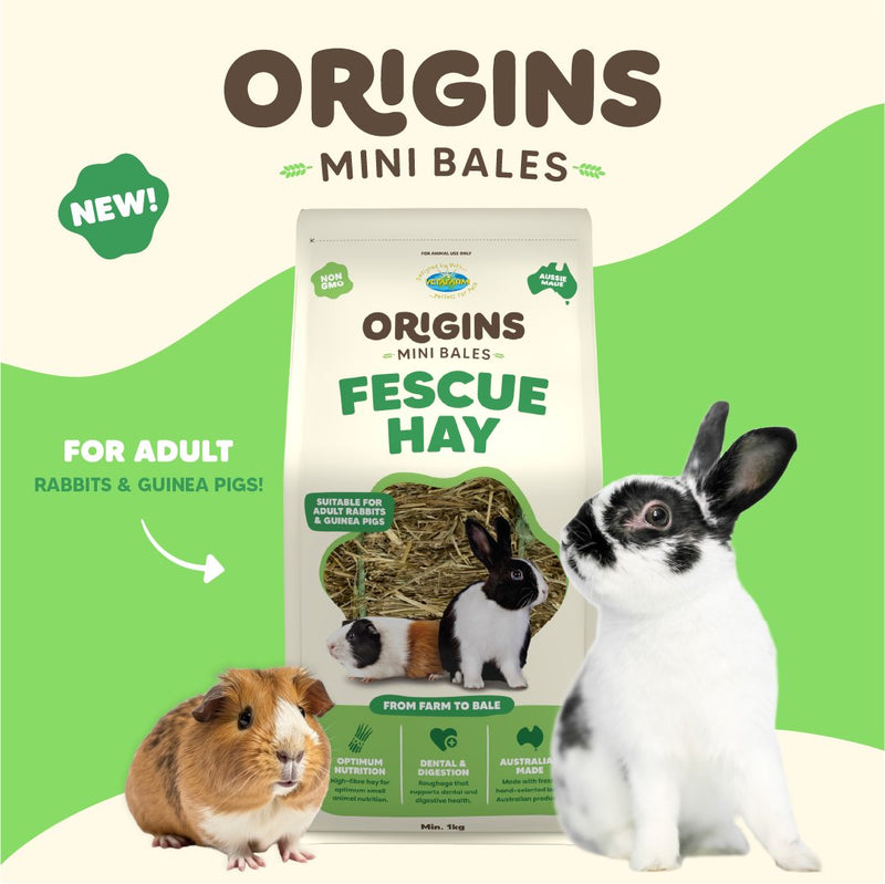 Premium Hay for Rabbits and Guinea Pigs