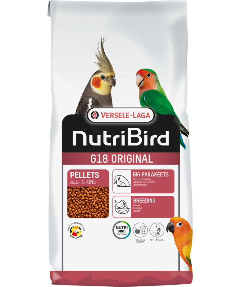 Big Parakeet Breeding Food