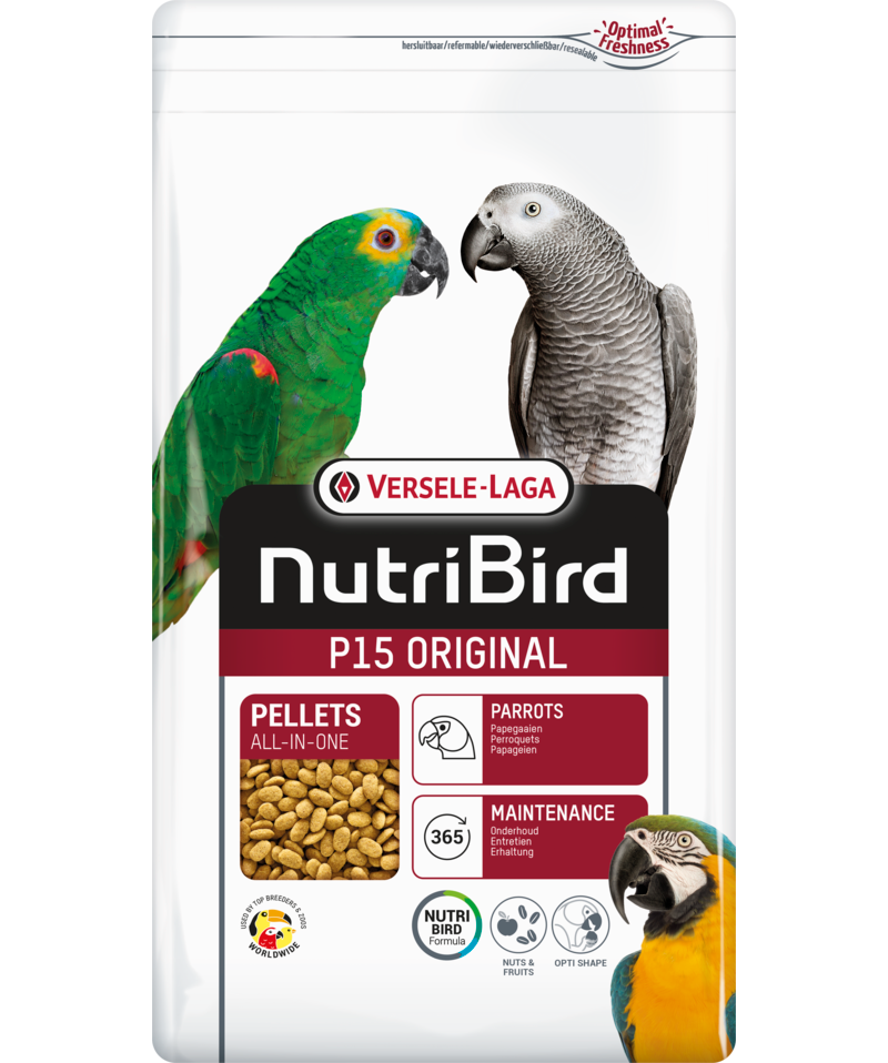 Fashion true parrot food