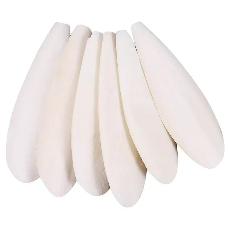 Cuttle bone 6-8"