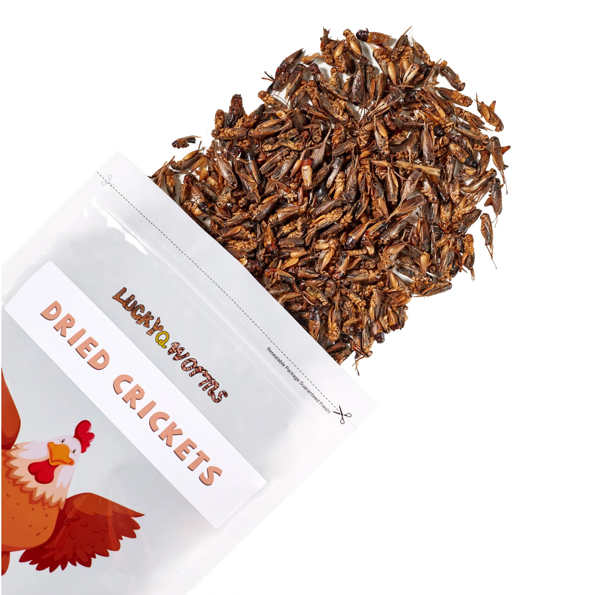 LuckyQworms 1lb Dried Crickets – High-Protein Natural Insect Feed for Chickens, Birds, Reptiles & Fish | All-Natural, Resealable Freeze-Dried Pet Treats