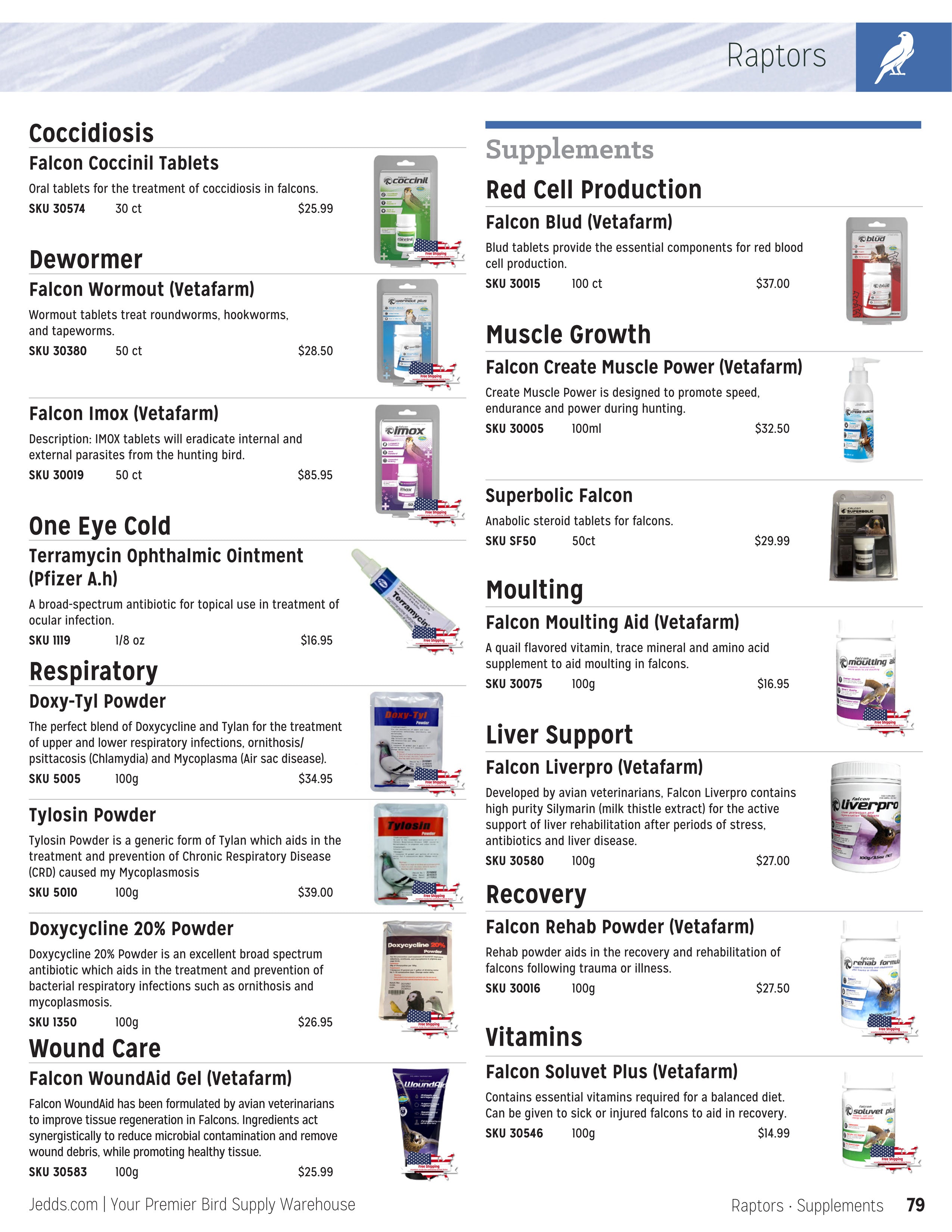 Jedds Catalog (2024-2025)