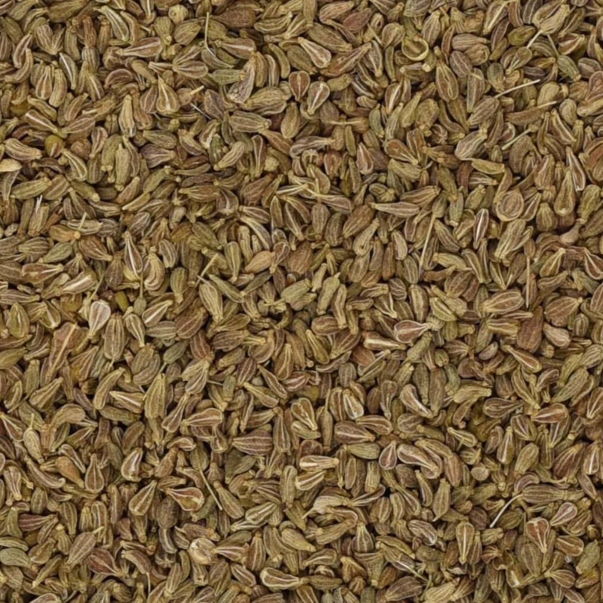 Anise Seed (16oz)