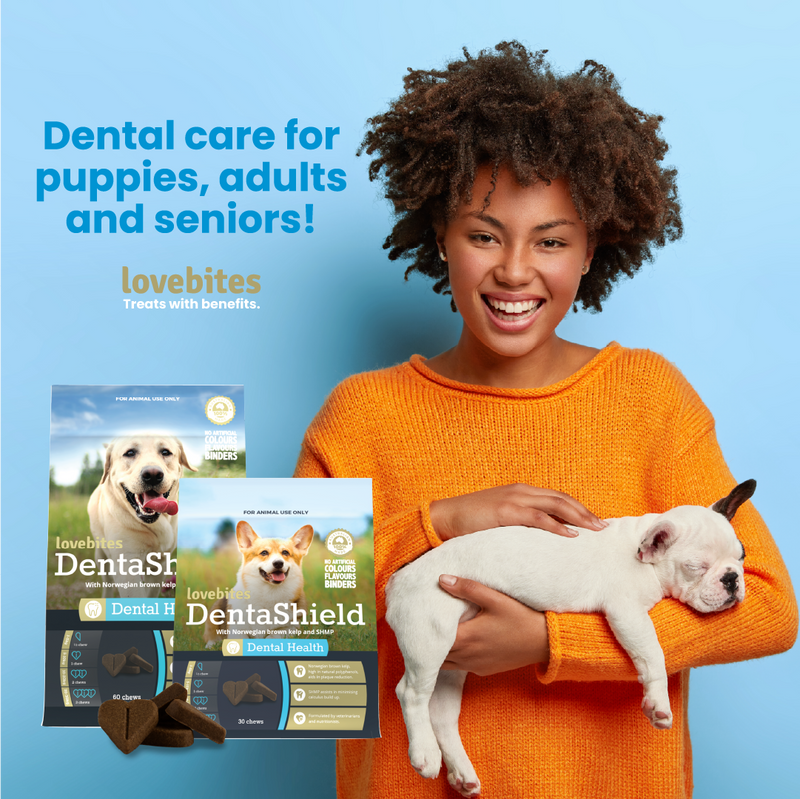 Dental care for puppy, adult, and senior dogs advert