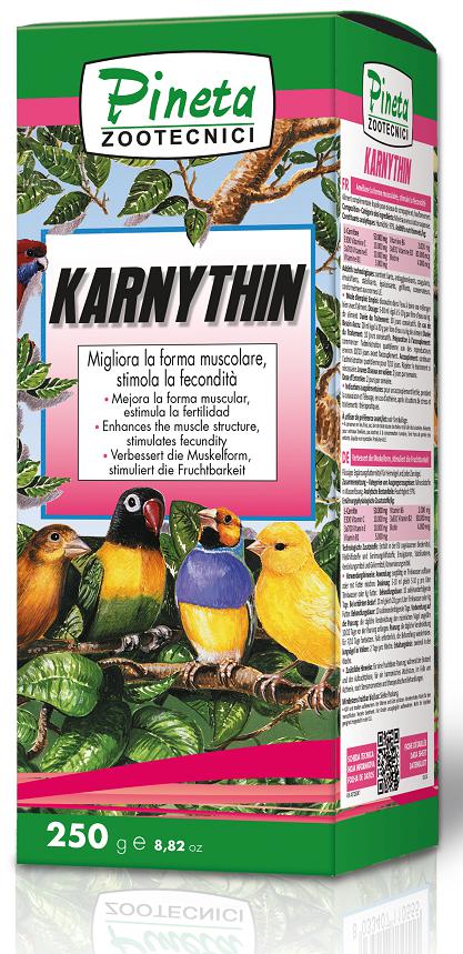 l carnitine bird The main ingredient of Carni-Speed is L-carnitine. This vitamin-like substance has a central role in the fat metabolism of pigeons. With a dosage of 10 ml/litre of drinking water, the pigeons receive High Quality L Karnythin (Pinezi Zootecnici) Premium Bird