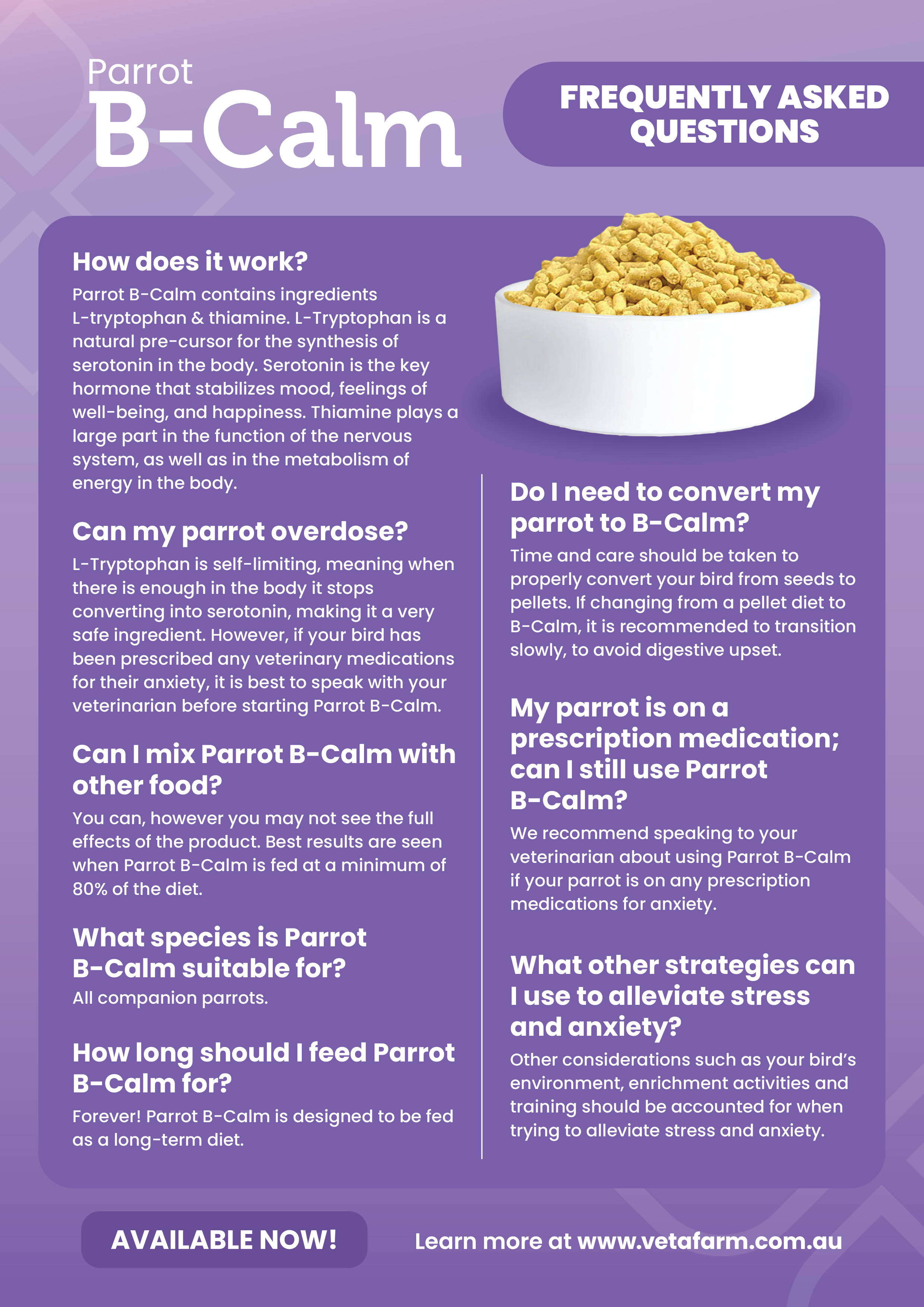 Bird anxiety relief questions