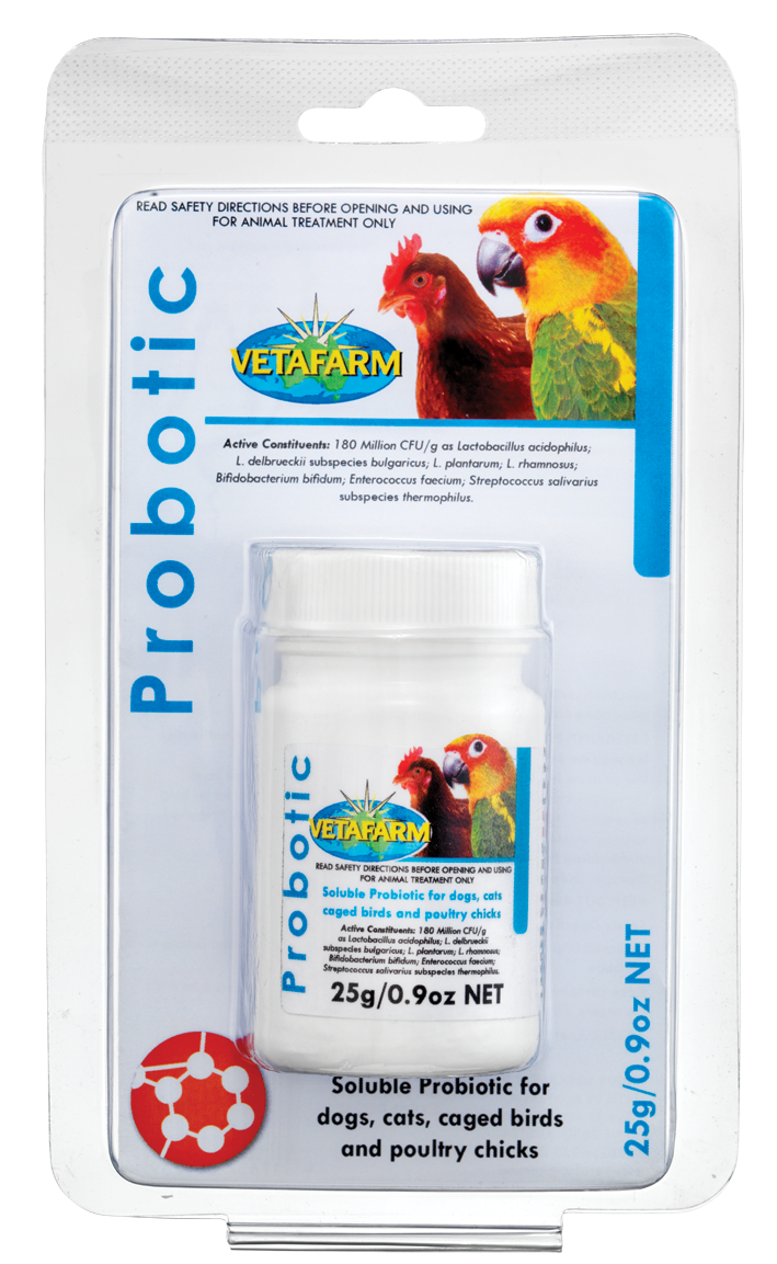 Bird Probiotic