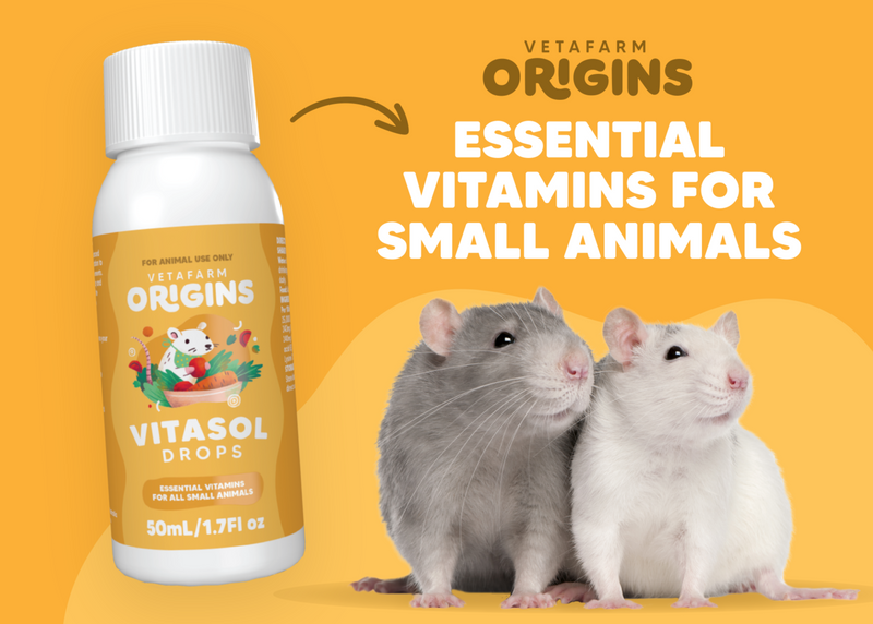 Small Animal Vitamins