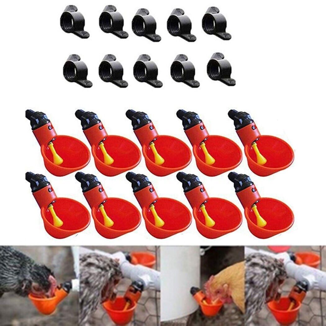 Automatic Water Drinking Cups - Water Feeder for Poultry and Pigeons (10 pcs.)