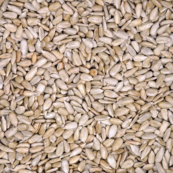 sun flower seeds for sale Hulled Sunflower Shell-Free Bird Food 25 LBS