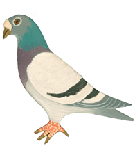 PAINTED BY HAND BLUE BAR PIGEON PIN