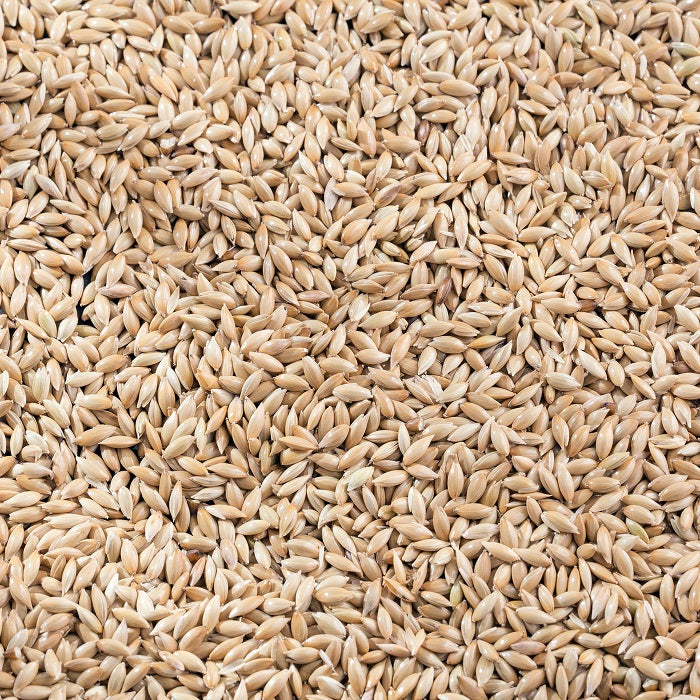 Premium Canadian Canary Bird Food