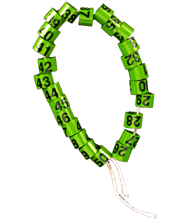 WRAP-AROUND SERIES NUMBERED BANDS