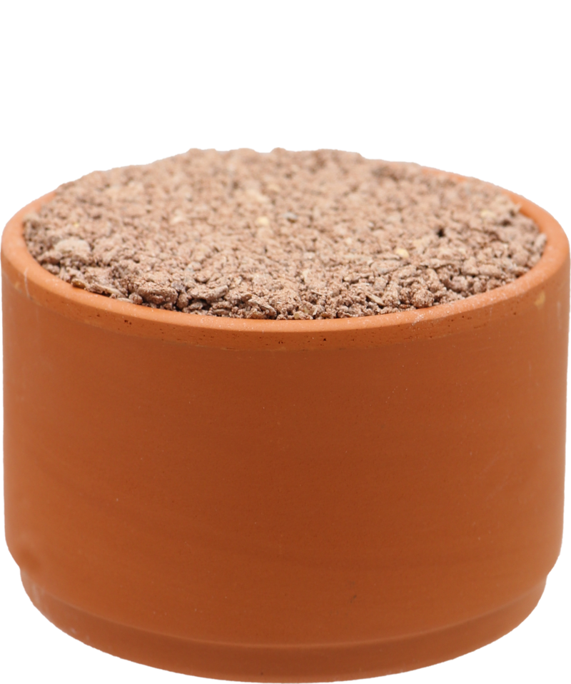Premium Clay Pot Pigeon Mineral Supplement