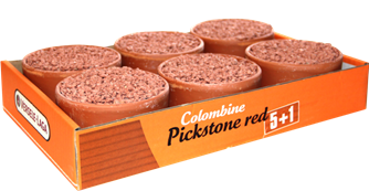 Red Pickstone (Versele-Laga)