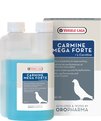 Carmine Mega Forte (Versele-Laga) Liquid L-Carnitine for Racing Pigeons Carmine Mega Forte (Versele-Laga) Liquid L-Carnitine for Racing Pigeons
