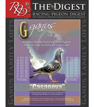RACING PIGEON DIGEST RACING PIGEON DIGEST