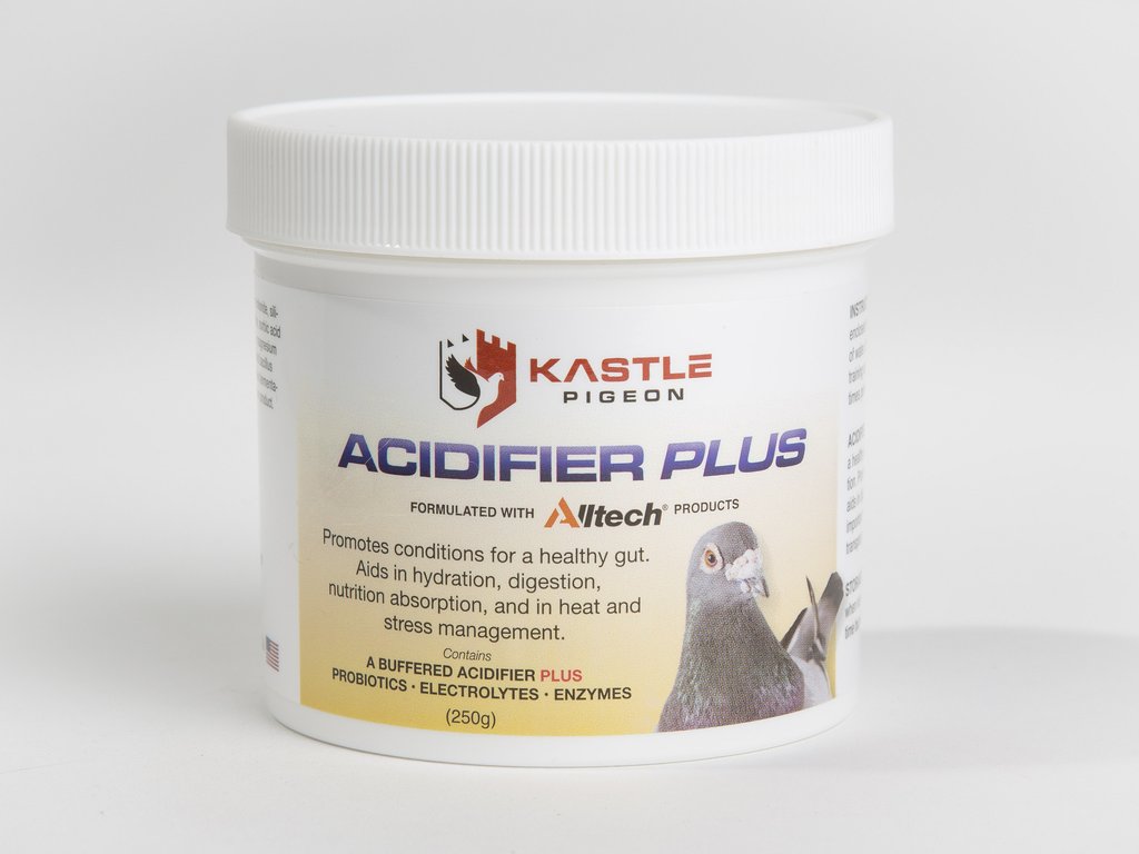 Jedds pigeon bird supply top