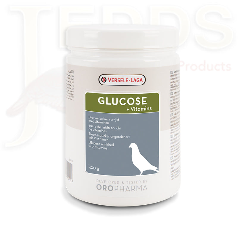 Essential Recovery Vitamins for Pigeons