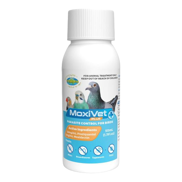 Jedds Pre-Breeding Program Kit