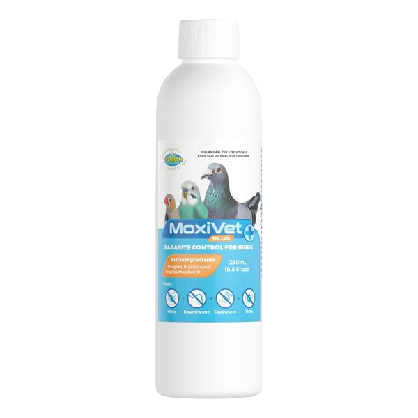 Moxivet Plus Pigeion Parasite Control