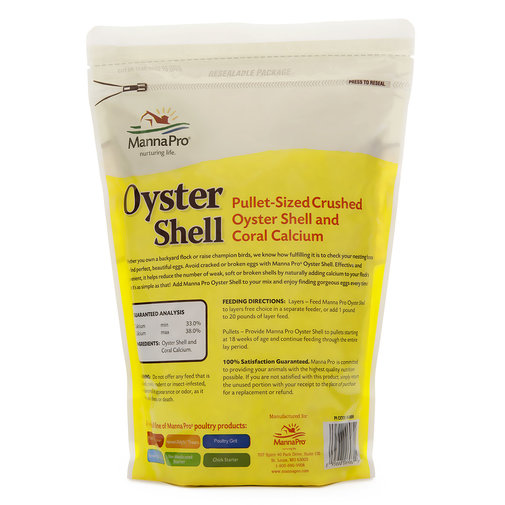 Oyster Shell