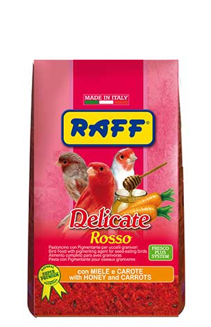 Delicate Rosso (Raff)