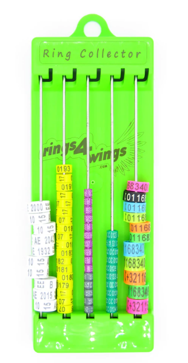 PLASTIC RING BAND HOLDER (Smisdom)