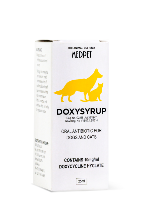 Doxycycline for Dogs and Cats