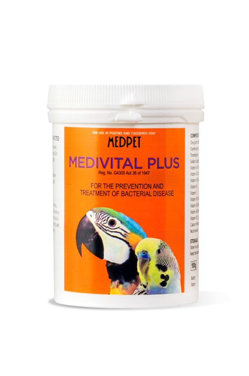 Bird Bacterial Infection Treatment