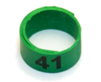 WRAP-AROUND SERIES NUMBERED BANDS
