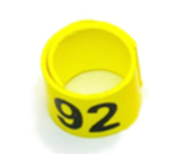 WRAP-AROUND SERIES NUMBERED BANDS