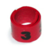 WRAP-AROUND SERIES NUMBERED BANDS