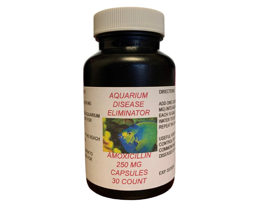 AMOXICILLIN CAPSULES