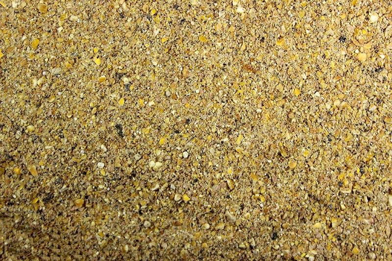 Layer Mash Feed for Egg Production