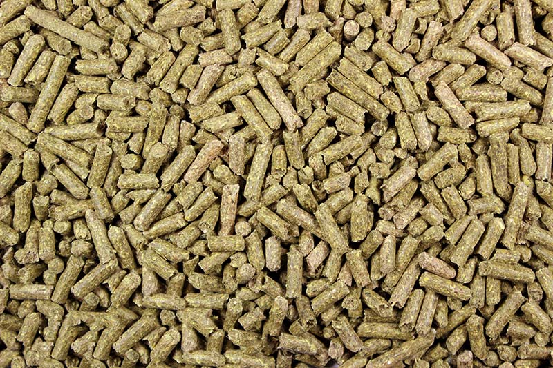 Rabbit Pellets (Leach Grain & Milling) High-Quality Rabbit Food Pellets