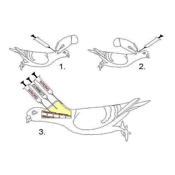 2-IN-1 PMV & SALMONELLA VACCINE BUNDLE (ARKO)