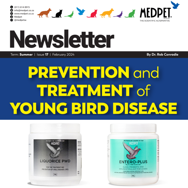 How to Prevent and Treat Young Bird Disease - Sponsored by Medpet