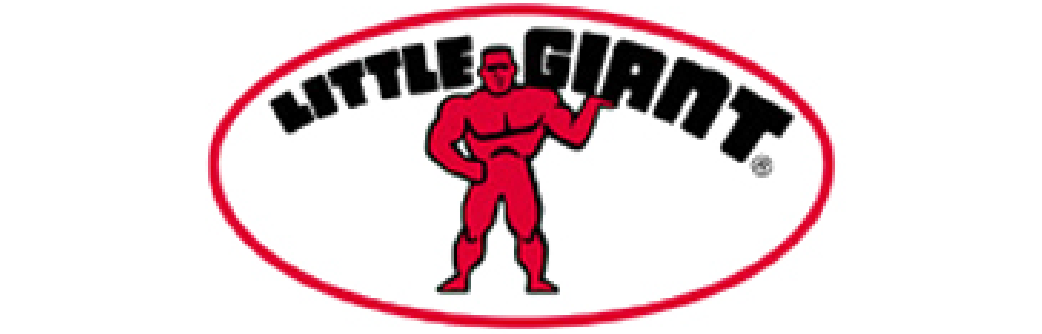 Little Giant