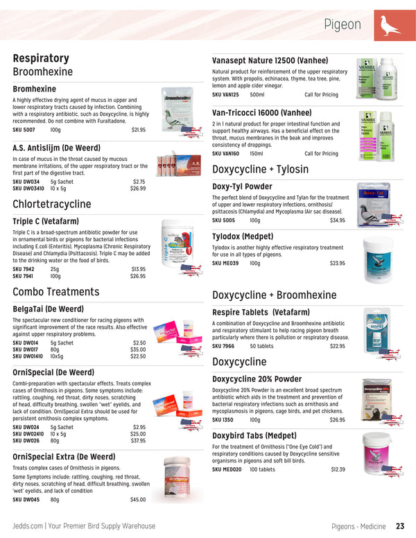 Jedds Catalog (20242025)