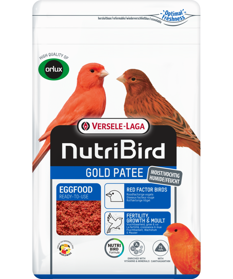 Gold Patee Red (Versele-Laga)