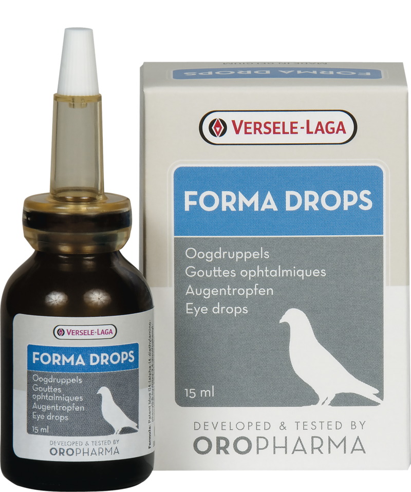 Effective Eye Infection Treatment for Birds