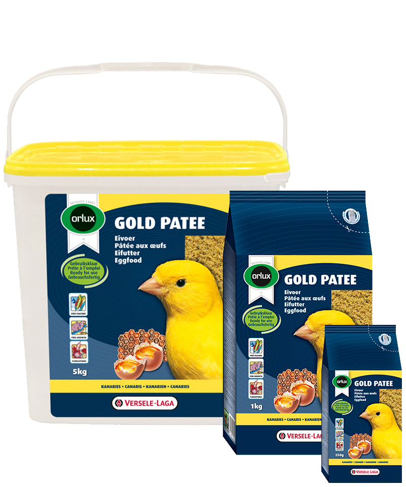 Gold Patee Yellow (Versele-Laga)
