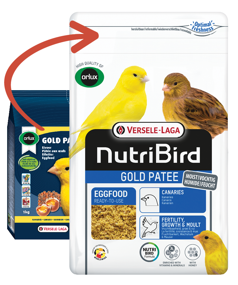 Gold Patee Yellow (Versele-Laga) Premium Eggfood for Canaries & Finches