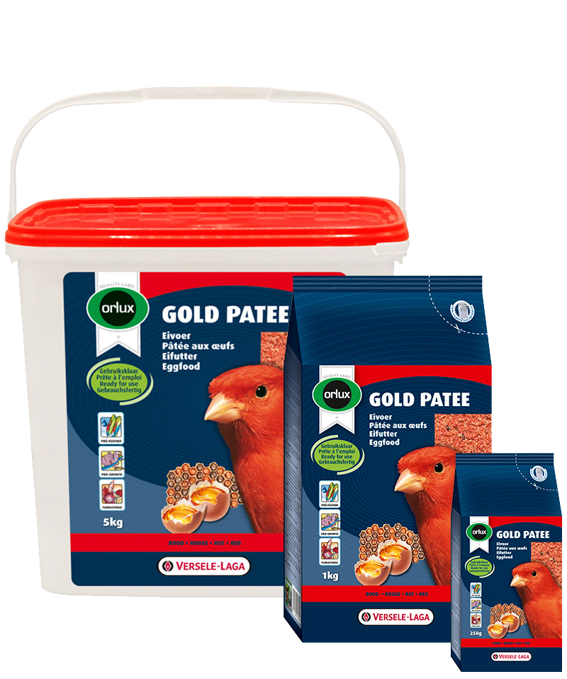 Eggfood Supplement
