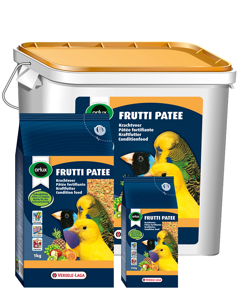 Nutritious Omega-3 Food for Budgies