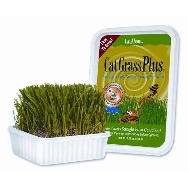 CAT GRASS PLUS TUB MULTI-CAT 5.25oz