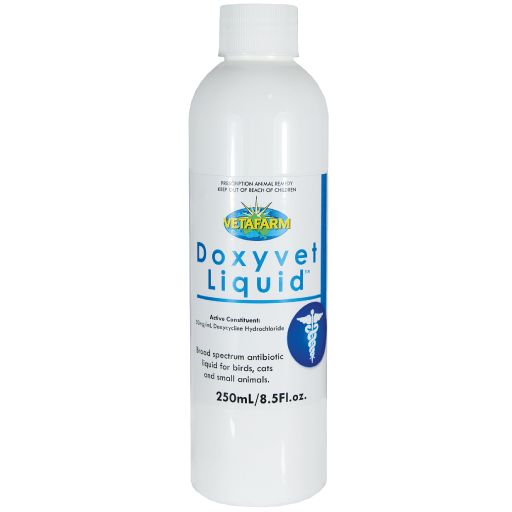 Doxyvet: Vetafarm's Doxycycline for Birds, Dogs, Cats & Rodents